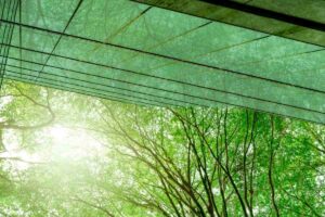 Espacios verdes en una oficina sostenible