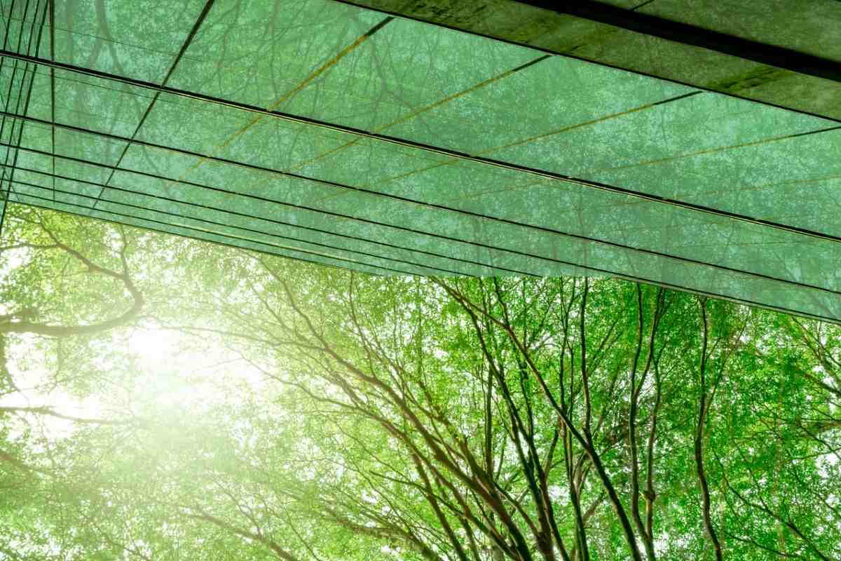 Espacios verdes en una oficina sostenible